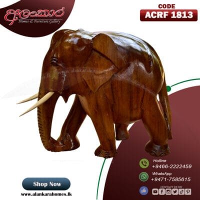 ACRF 1813 Wild Elephant Craft (16"Inch)