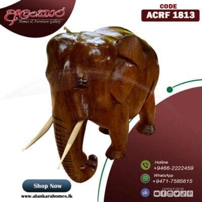 ACRF 1813 Wild Elephant Craft (16"Inch) - Image 4